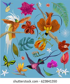 bright tropican birds and flowers