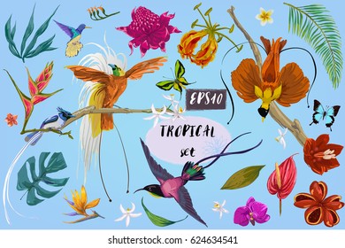 bright tropican birds and flowers