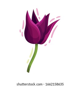 Bright Tulip Flower Bud on Bended Stem Isolated on White Background Vector Illustration