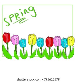 Bright tulips in a frame