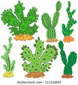 Bright and unusual cactuses. Vector illustration