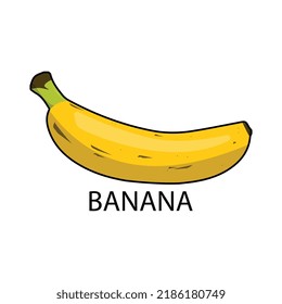 Vector luminoso de fruta bananera. caricatura banana fresca sobre fondo blanco.