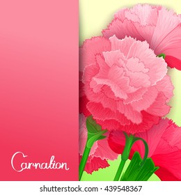 Bright vector banner with background of carnation flowers. Ready design for poster, web, print, greeting card
 and advertisement.