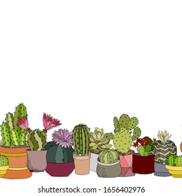 Bright vector border of decorative cacti of different varieties. Garden fresh design for spring mood. Blooming and leafy cacti and succulents are drawn by hand on a white background for decoration