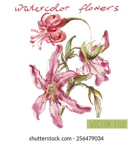 Bright vector bouquet from water color flowers. An album "vector bouquets by holidays from the picturesque drawn flowers."