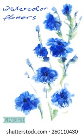 Bright vector bouquet from water color flowers. An album "vector bouquets by holidays from the picturesque drawn flowers.""Blue flowers watercolor".