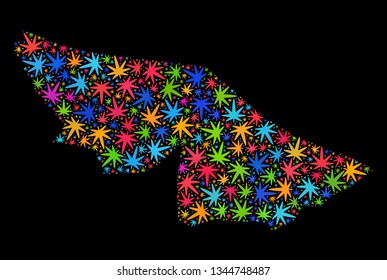Bright vector cannabis Acre State map collage on a black background. Template with psychedelic herbal leaves for cannabis legalize campaign. Vector Acre State map is formed from herbal leaves.