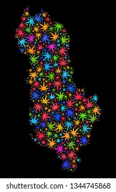 Bright vector cannabis Albania map collage on a black background. Concept with bright herbal leaves for cannabis legalize campaign. Vector Albania map is designed with herbal leaves.