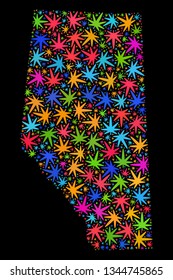 Bright vector cannabis Alberta Province map mosaic on a black background. Concept with bright herbal leaves for weed legalize campaign. Vector Alberta Province map is created with herbal leaves.