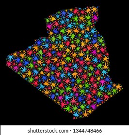 Bright vector cannabis Algeria map mosaic on a black background. Template with bright herbal leaves for hemp legalize campaign. Vector Algeria map is created with herbal leaves.