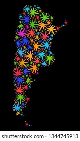Bright vector cannabis Argentina map collage on a black background. Template with psychedelic herbal leaves for cannabis legalize campaign. Vector Argentina map is created with herbal leaves.