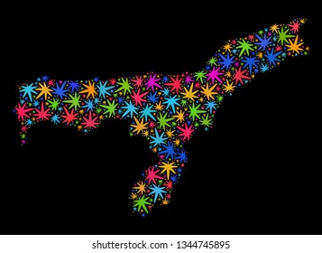 Bright vector cannabis Assam State map collage on a black background. Template with bright weed leaves for weed legalize campaign. Vector Assam State map is composed of cannabis leaves.