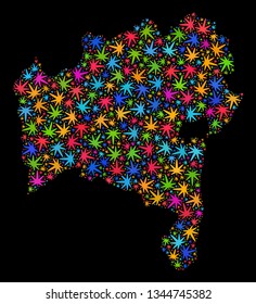 Bright vector cannabis Bahia State map mosaic on a black background. Template with bright weed leaves for weed legalize campaign. Vector Bahia State map is created with cannabis leaves.