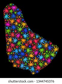 Bright vector cannabis Barbados map mosaic on a black background. Concept with psychedelic herbal leaves for cannabis legalize campaign. Vector Barbados map is composed with herbal leaves.