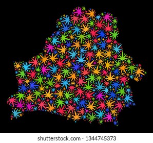 Bright vector cannabis Belarus map mosaic on a black background. Concept with bright herbal leaves for cannabis legalize campaign. Vector Belarus map is created with cannabis leaves.