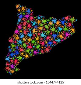 Bright vector cannabis Catalonia map collage on a black background. Concept with bright herbal leaves for cannabis legalize campaign. Vector Catalonia map is composed with cannabis leaves.