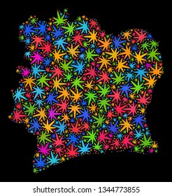 Bright vector cannabis Ivory Coast map mosaic on a black background. Template with bright herbal leaves for hemp legalize campaign. Vector Ivory Coast map is organized of cannabis leaves.