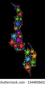 Bright vector cannabis Malawi map collage on a black background. Template with bright weed leaves for cannabis legalize campaign. Vector Malawi map is designed from weed leaves.
