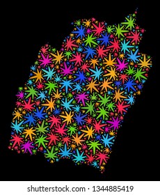 Bright vector cannabis Manipur State map collage on a black background. Template with multi-colored weed leaves for cannabis legalize campaign. Vector Manipur State map is designed with ganja leaves.