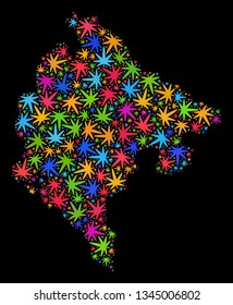 Bright vector cannabis Montenegro map mosaic on a black background. Template with bright herbal leaves for cannabis legalize campaign. Vector Montenegro map is formed with ganja leaves.