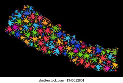 Bright vector cannabis Nepal map collage on a black background. Template with colored herbal leaves for cannabis legalize campaign. Vector Nepal map is designed with herbal leaves.
