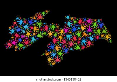Bright vector cannabis Paraiba State map collage on a black background. Template with bright weed leaves for hemp legalize campaign. Vector Paraiba State map is formed with weed leaves.