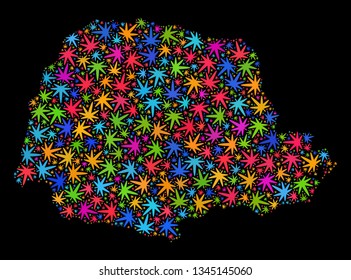 Bright vector cannabis Parana State map mosaic on a black background. Concept with bright herbal leaves for cannabis legalize campaign. Vector Parana State map is organized from cannabis leaves.
