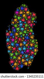 Bright vector cannabis Qatar map mosaic on a black background. Concept with bright herbal leaves for weed legalize campaign. Vector Qatar map is composed with cannabis leaves.