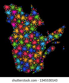 Bright vector cannabis Quebec Province map collage on a black background. Template with bright herbal leaves for cannabis legalize campaign. Vector Quebec Province map is formed from cannabis leaves.