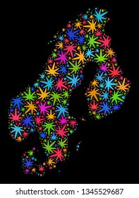 Bright vector cannabis Scandinavia map collage on a black background. Concept with colored herbal leaves for cannabis legalize campaign. Vector Scandinavia map is formed with ganja leaves.