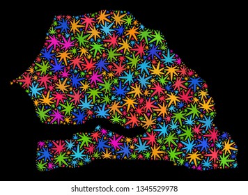 Bright vector cannabis Senegal map mosaic on a black background. Template with bright weed leaves for cannabis legalize campaign. Vector Senegal map is designed with ganja leaves.