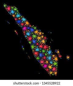 Bright vector cannabis Sumatra map collage on a black background. Concept with bright weed leaves for marijuana legalize campaign. Vector Sumatra map is constructed from weed leaves.