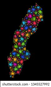 Bright vector cannabis Sweden map mosaic on a black background. Template with colorful weed leaves for cannabis legalize campaign. Vector Sweden map is composed with weed leaves.