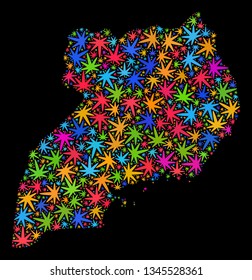 Bright vector cannabis Uganda map mosaic on a black background. Template with bright weed leaves for cannabis legalize campaign. Vector Uganda map is created with ganja leaves.