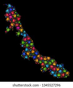 Bright vector cannabis Veracruz State map collage on a black background. Template with bright weed leaves for cannabis legalize campaign. Vector Veracruz State map is constructed from weed leaves.
