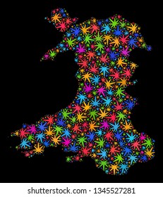 Bright vector cannabis Wales map collage on a black background. Template with psychedelic weed leaves for marijuana legalize campaign. Vector Wales map is formed with marijuana leaves.