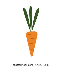 Icono de zanahoria vectorial brillante con hojas. Fresca caricatura vegetal aislada en un fondo blanco. Estilo de caricatura. Ilustración utilizada para revista, libro, afiche, tarjeta, menú de portada, página web.