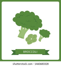 Bright vector collection of colorful broccoli. Fresh cartoon different vegetable isolated on white background.