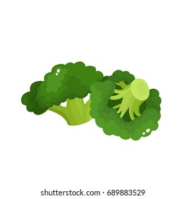 Bright vector collection of colorful broccoli. Fresh cartoon different vegetable isolated on white background used for magazine, book, poster, card, menu cover, web pages.