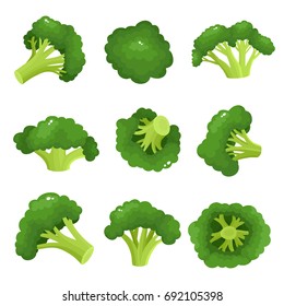 Bright vector collection of colorful broccoli. Fresh cartoon different vegetable isolated on white background used for magazine, book, poster, card, menu cover, web pages.