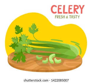 Bright vector collection of colorful of celery. Fresh cartoon different vegetable with name isolated on white background used for magazine, book, poster, card, menu cover, web pages.