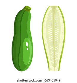 Bright vector collection of colorful half and whole of zucchini. Fresh cartoon different vegetable isolated on white background used for magazine, book, poster, card, menu cover, web pages.