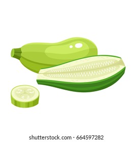 Bright vector collection of colorful half and whole of zucchini. Fresh cartoon different vegetable isolated on white background used for magazine, book, poster, card, menu cover, web pages.