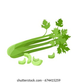 Bright vector collection of colorful half and whole of celery. Fresh cartoon different vegetable isolated on white background used for magazine, book, poster, card, menu cover, web pages.