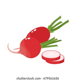 Bright vector collection of colorful half and whole of radish. Fresh cartoon different vegetable isolated on white background used for magazine, book, poster, card, menu cover, web pages.