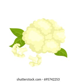 Bright vector collection of colorful half and whole of cauliflower. Fresh cartoon organic vegetable isolated on white background used for magazine, book, poster, card, menu cover, web pages.