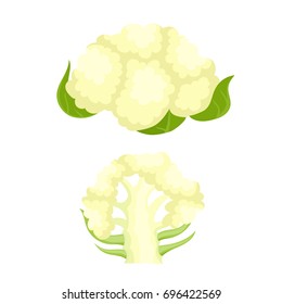 Bright vector collection of colorful half and whole of cauliflower. Fresh cartoon organic vegetable isolated on white background used for magazine, book, poster, card, menu cover, web pages.