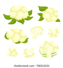 Bright vector collection of colorful half and whole of cauliflower. Fresh cartoon organic vegetable isolated on white background used for magazine, book, poster, card, menu cover, web pages.