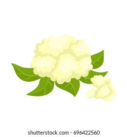 Bright vector collection of colorful part and whole of cauliflower. Fresh cartoon organic vegetable isolated on white background used for magazine, book, poster, card, menu cover, web pages.
