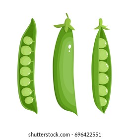 Bright vector collection of colorful peas. Fresh cartoon organic vegetable isolated on white background used for magazine, book, poster, card, menu cover, web pages.